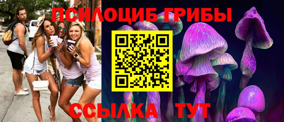 Галлюциногенные грибы Psilocybe  Вход с VPN  Нальчик 